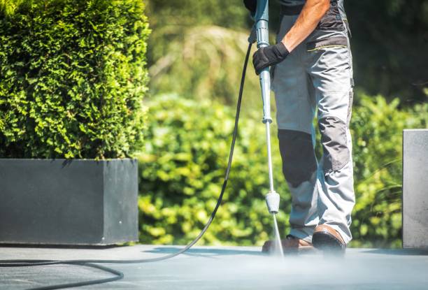 Best Roof Washing  in Myersville, MD
